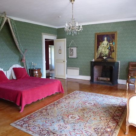 Chateau De La Voute Trôo 외부 사진